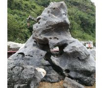 太湖石(假山)產(chǎn)品庫——價格、圖片與廠家信息一覽